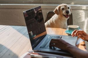Computer met hond en koffie